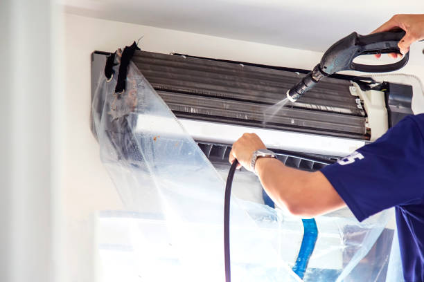 Best Professional Duct Cleaning Services  in Apalachicola, FL