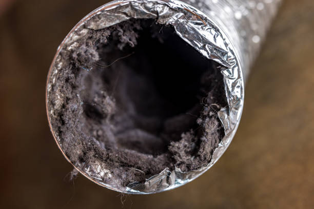 Best HVAC Duct Inspection Services  in Apalachicola, FL
