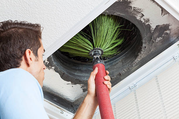 Best HVAC System Cleaning  in Apalachicola, FL